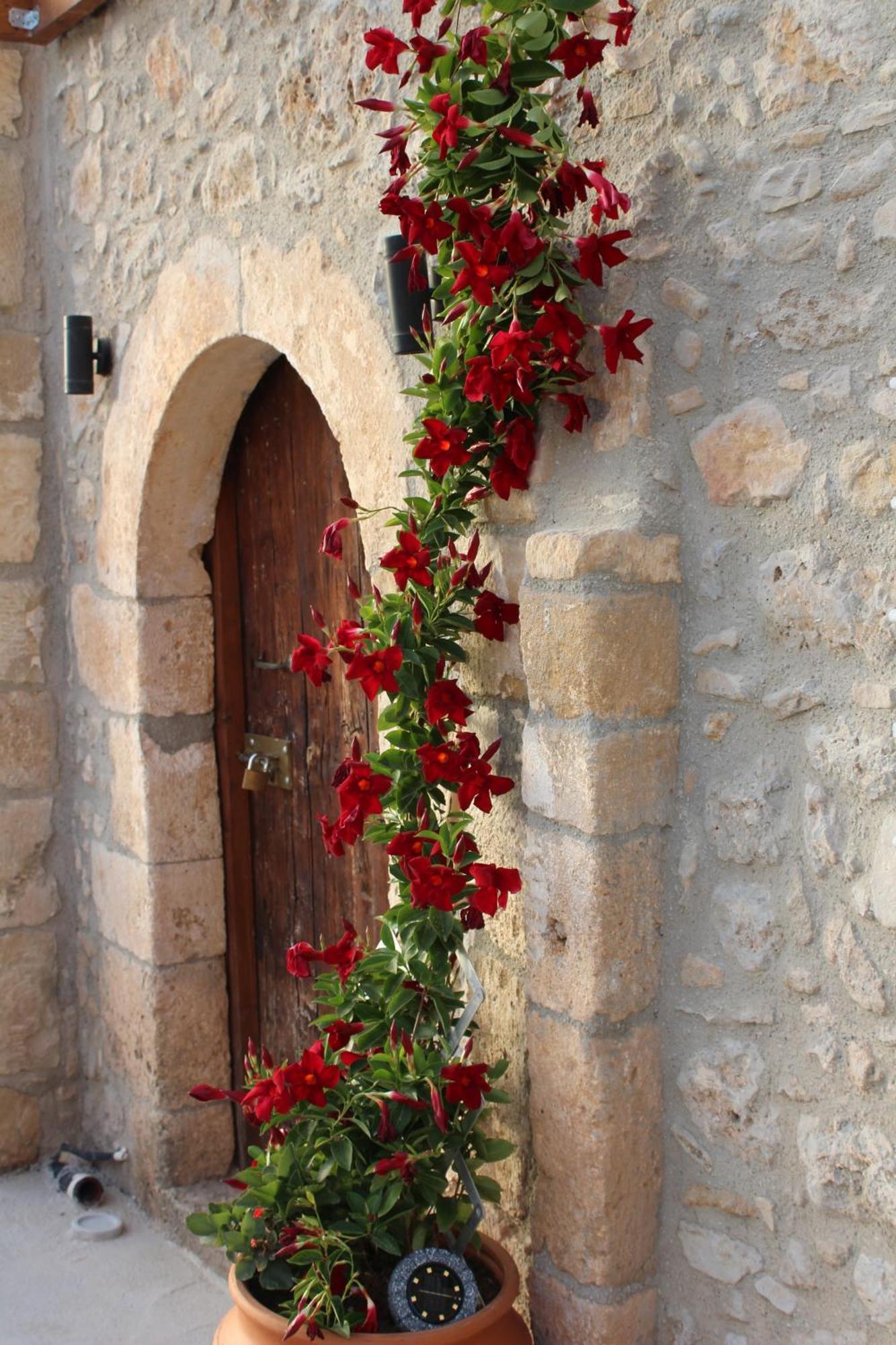 Trouli Rokka House Βίλα Κίσσαμος Εξωτερικό φωτογραφία